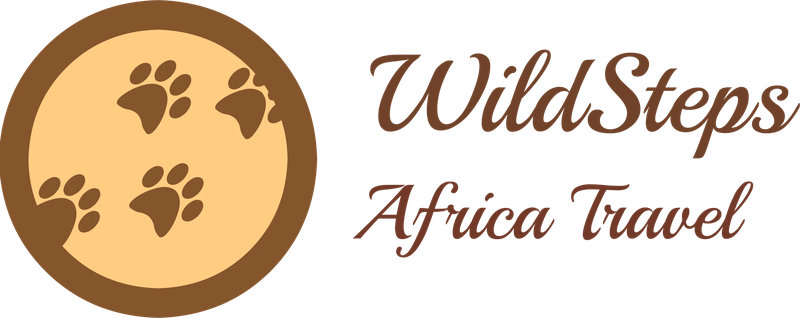 WildSteps Africa Travel